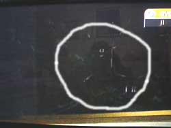 01-2.jpg