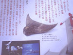 uru3.jpg